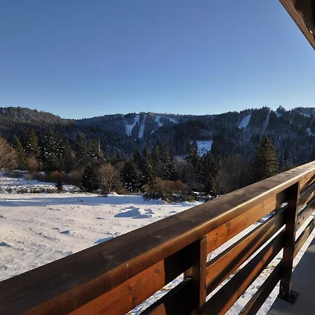 Chalet Dyna, Luxe, Calme Et Serenite Gérardmer Exterior photo