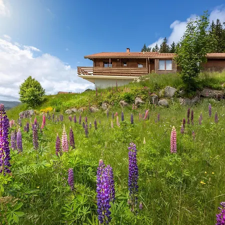 Chalet Dyna, Luxe, Calme Et Serenite Gérardmer Exterior photo