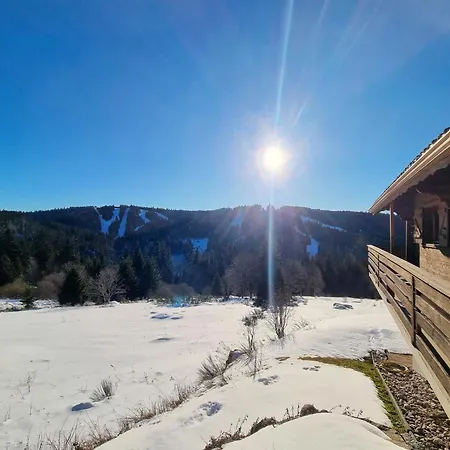 Chalet Dyna, Luxe, Calme Et Serenite Gérardmer Exterior photo
