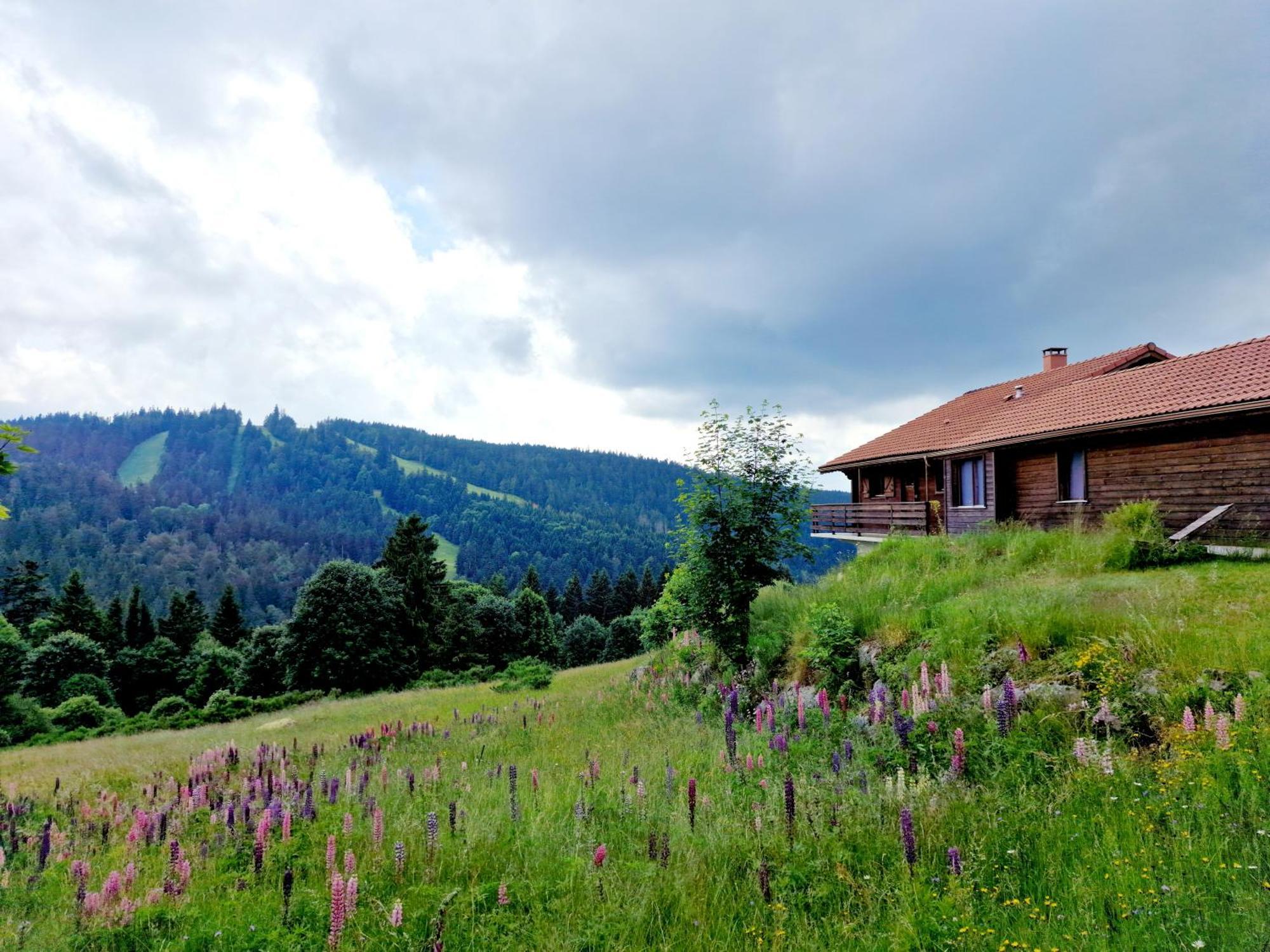 Dyna, Luxe, Calme Et Serenite Gerardmer