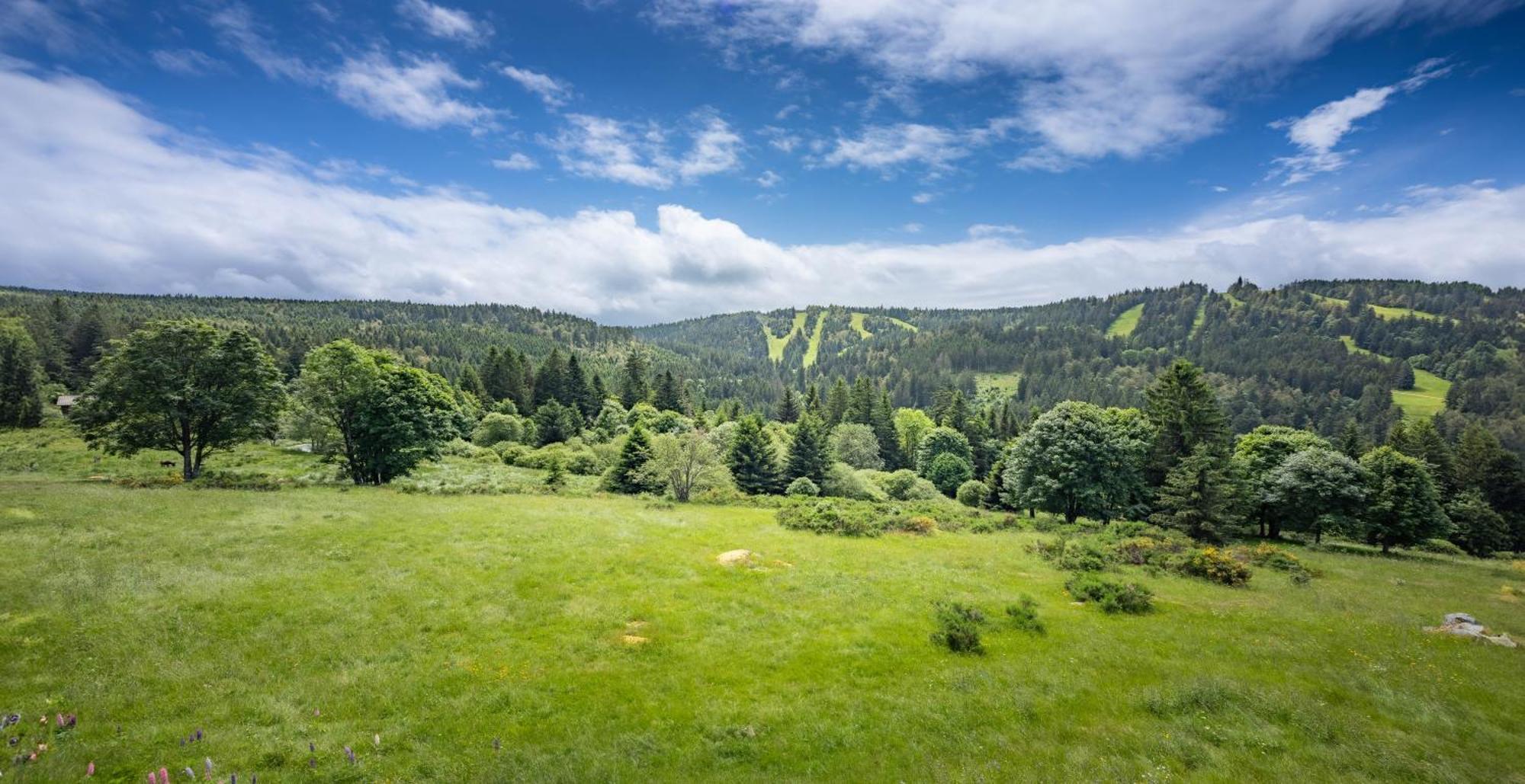 Chalet Dyna, Luxe, Calme Et Serenite