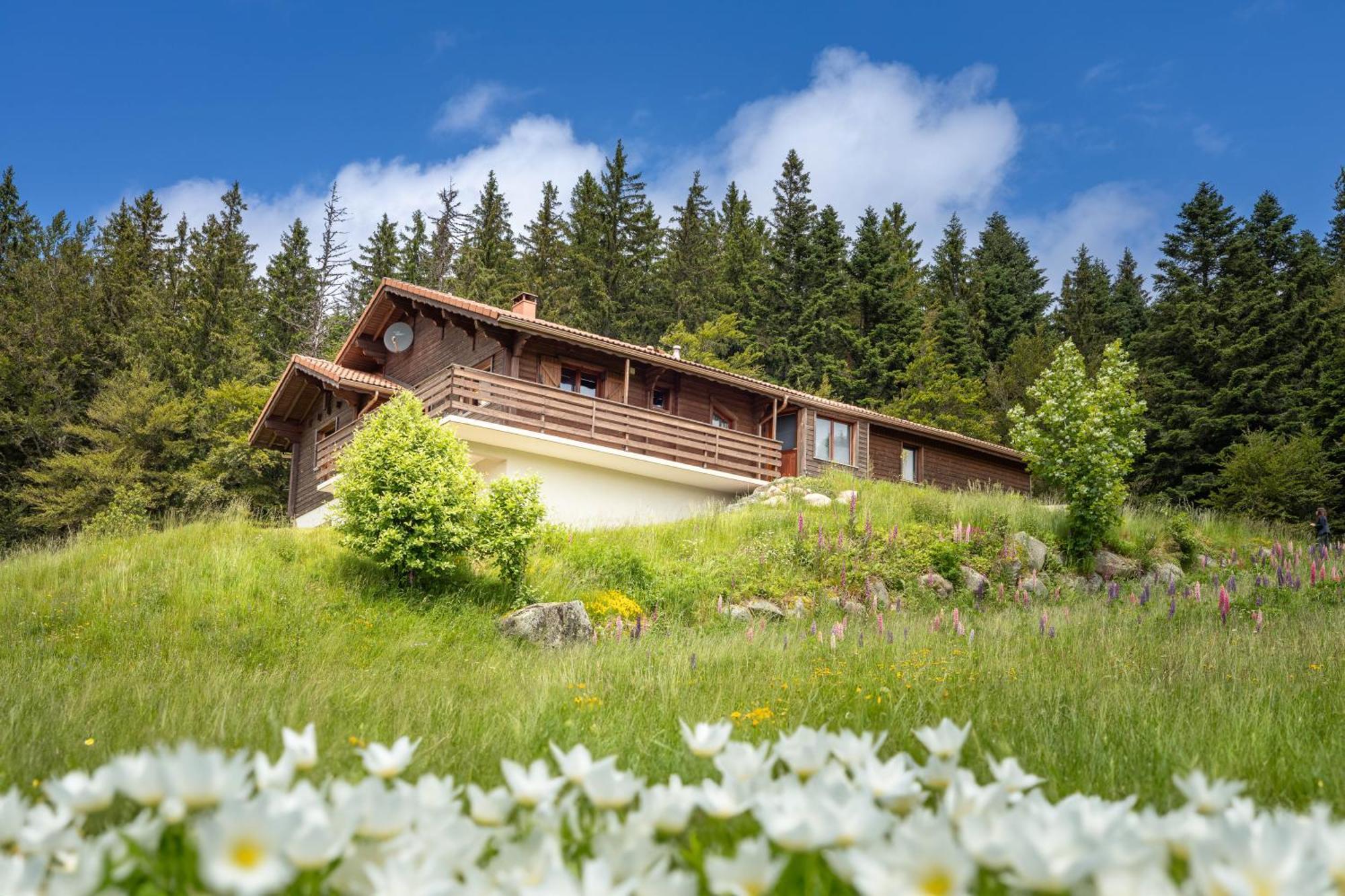 Dyna, Luxe, Calme Et Serenite * Gerardmer